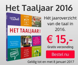 het-taaljaar-2016-300x250-1